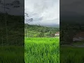 Download Lagu Relaksasi Suling Sunda,, Indahnya Alam Pedesaan Indonesiaku