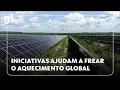 Lagu Jornal Hoje: série especial mostra iniciativas que ajudam a frear o aquecimento global