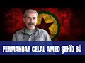 Lagu Berxwedêrê zîndana Amedê, Şoreşgerê Çiya û deştan, fermandarê nemir Celal Amed Şehîd bû