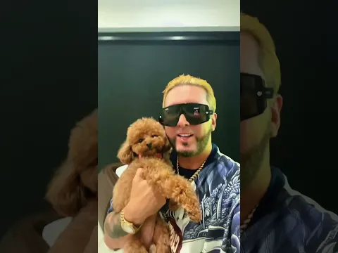 Mambo canino #caritatriste 🇵🇷🇻🇪🇪🇸🇲🇽🇨🇱🇨🇴🇪🇨🇵🇪🇦🇷🇭🇳🇸🇻🇬🇹🇨🇷🇵🇦🇨🇺🇩🇴🇵🇾🇳🇮