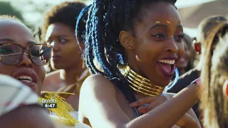 highlights from the afropunk festival 2019