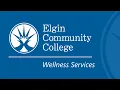 Wellness Services Informational