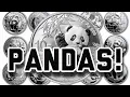 Silver Panda Collection Plus The New 2020 Panda!