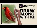 Bird Painting - Red Cardinal Procreate tutorial 179