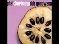 Gondwana - Dubba Langa