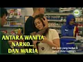 Download Lagu SAAT PRIA POLOS Bercocok tanam dengan bos Narkoboy || JAKARTA VS EVERYBODY