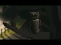 Trampled by Turtles - Midnight on the Interstate