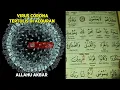 Download Lagu Masya Allah!  Mungkin Ini Penyebab Asal Muasal Virus Corona