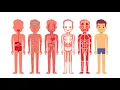 Introduction to Anatomy and Physiology