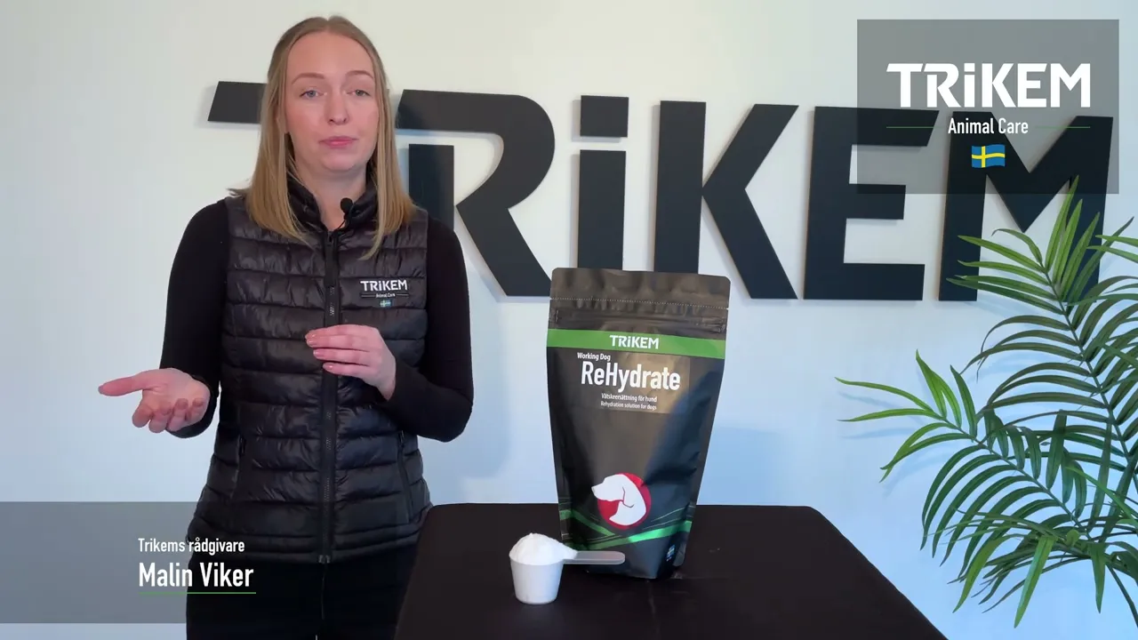 Feed supplement - Trikem WorkingDog Rehydrate 400 gr.