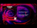Download Lagu Silent Science - Cojal