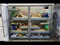 Lagu Double Critter Nation Degu Cage Tour (Links for accessories in description)