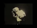 Ek Tarfa - J Trix X SubSpace (Official Music Video)