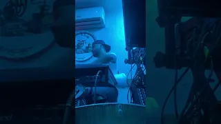 Cheb Malek Chakib Kenistar 