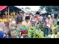 Download Lagu [WOW ] BIKIN KAGET HARGA NANGKA SAAT INI, HARGA PISANG TETAP MURAH SEGINI HARGA NYA || info pasar