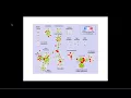 Pathway Analysis and Biological Interpretations Part 3