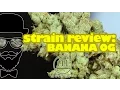 Strain Review Banana OG Medizin - YoungFashioned com