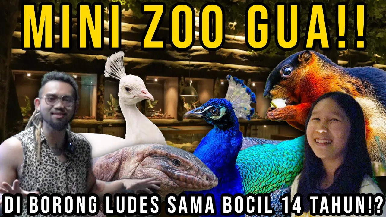 KAGET ANJIRTTT!!! MINI ZOO GUA!! DI BORONG LUDES SAMA BOCIL 14 TAHUN!!!!? #AudreyA #KINGOFTHEJUNGLE
