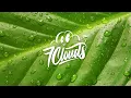Mayonnaise - Paraan (Lyrics)