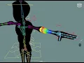 Rigging of a Biped Character Skin Bind