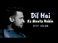 Download Lagu Dil Hai Ke Manta Nahi - Atif Aslam