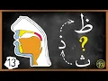 Lagu ANYONE can master ظ when learning it like THIS | Makharij \u0026 Sifaat Lesson 13 | Arabic101