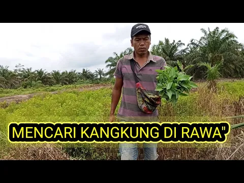 Download MP3 Tumis kangkung ⁉️goreng ikan asin//lauk sederhana👍