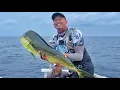 Lagu MANCING MAHI MAHI ‼️ PART 1 #311 