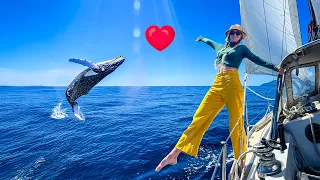 Humpback Whale STEALS My Situationship 😭💔 (Sailing Across the Pacific)