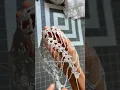 Crocheted mesh hat like a jewellery