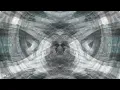 Stef.fx live visuals to Windhorse by Of the trees