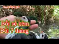 Download Lagu Bổi sẻ kèm bổi 7 tháng .kèo chưa nghe quốc đã nghe cục.
