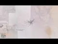 Umair, Abdullah Maharvi, JANI & Hasan Raheem - Tu Kahan (Official Audio)