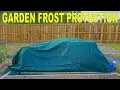 Garden Frost Protection - Does Frost Cloth Work Results After Freeze
