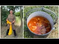 Download Lagu Ebből szögedi halászlé lösz! 🎣- júniusi kintalvás ✅
