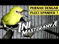 Download Lagu MASTERAN PLECI GACOR // TEMBAKAN PLECI XPANDER - PLECI SUPER ZIPPER - Markas Tjm - #masteranpleci