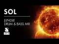 Download Lagu Sol | Jungle Drum \u0026 Bass Mix