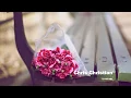Download Lagu Chris Christian - I Want You, I Need You (lyrics)
