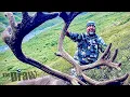 Alaska Draw Hunts - Deadline December 15th