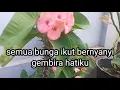 Download Lagu Tuhan sumber gembiraku, MB no 477, instrumen lagu rohani dengan lirik tanpa vokal \