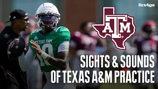 Sights Sounds Practice 7 of Texas A M s 2026 Fall Camp