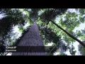 "Cloud 9" - Original Song
