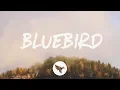 Download Lagu Miranda Lambert - Bluebird (Lyrics)