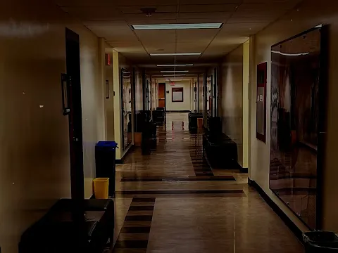 Sincere Vacancy — "Serene Velocity" remade at USF Tampa