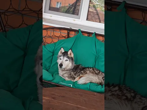 Псоветривание