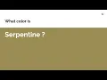 Serpentine color hex color - Brown color