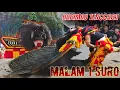 Download Lagu BIKIN MERINDING 😱 4 PEMBARONG GANAS MACAN HITAM JAGAL COPER HARIMAU TENGGARA GEMPARKAN KARANGGEBANG
