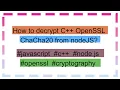 How to decrypt C OpenSSL ChaCha20 from nodeJS