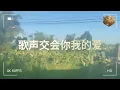鳳飛飛精選 (1)（内附歌詞）01 掌聲響起；02 流水年華；03 追夢人；04 相思爬上心底；05 瀟灑的走；06 夏的季節；07 涼呀涼