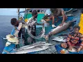 Download Lagu WOW‼️ The Nineteen Day We Stay In The Deep Sea 🤩 Fishermen Rescue Sea Turtle from Net\